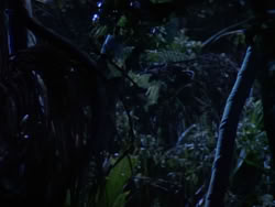 extant_XenaWarriorPrincess_1x10-HoovesAndHarlots_02023