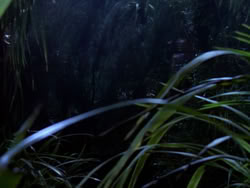 extant_XenaWarriorPrincess_1x10-HoovesAndHarlots_02026