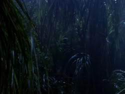 extant_XenaWarriorPrincess_1x10-HoovesAndHarlots_02082