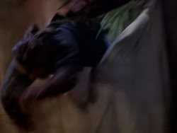 extant_XenaWarriorPrincess_1x10-HoovesAndHarlots_02415