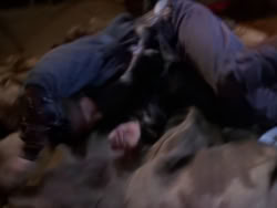 extant_XenaWarriorPrincess_1x10-HoovesAndHarlots_02416