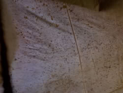 extant_XenaWarriorPrincess_1x10-HoovesAndHarlots_02428