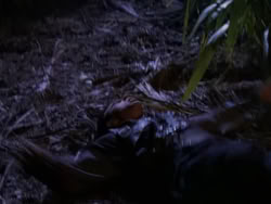 extant_XenaWarriorPrincess_1x10-HoovesAndHarlots_02448