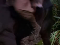 extant_XenaWarriorPrincess_1x10-HoovesAndHarlots_03178
