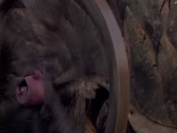 extant_XenaWarriorPrincess_1x10-HoovesAndHarlots_03252