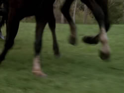 extant_XenaWarriorPrincess_1x10-HoovesAndHarlots_03268