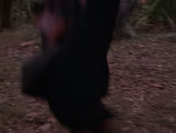 extant_XenaWarriorPrincess_1x10-HoovesAndHarlots_03340