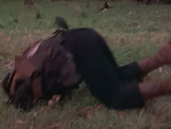 extant_XenaWarriorPrincess_1x10-HoovesAndHarlots_03350