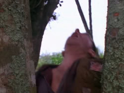 extant_XenaWarriorPrincess_1x10-HoovesAndHarlots_03408