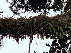 extant_XenaWarriorPrincess_1x10-HoovesAndHarlots_03426