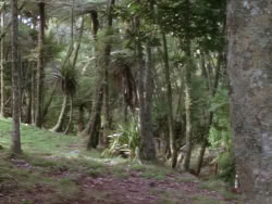extant_XenaWarriorPrincess_1x10-HoovesAndHarlots_03458