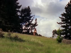 extant_XenaWarriorPrincess_1x11-TheBlackWolf_00160