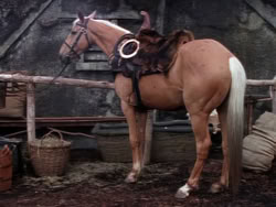 extant_XenaWarriorPrincess_1x11-TheBlackWolf_00856