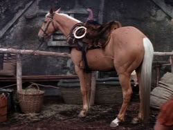extant_XenaWarriorPrincess_1x11-TheBlackWolf_00857