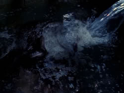 extant_XenaWarriorPrincess_1x11-TheBlackWolf_01362