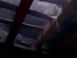 extant_XenaWarriorPrincess_1x11-TheBlackWolf_01942