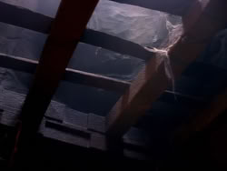 extant_XenaWarriorPrincess_1x11-TheBlackWolf_01943