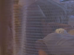 extant_XenaWarriorPrincess_1x12-BewareGreeksBearingGifts_0023