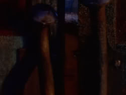 extant_XenaWarriorPrincess_1x12-BewareGreeksBearingGifts_0176