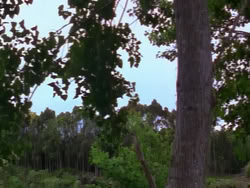 extant_XenaWarriorPrincess_1x12-BewareGreeksBearingGifts_0177