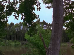 extant_XenaWarriorPrincess_1x12-BewareGreeksBearingGifts_0178