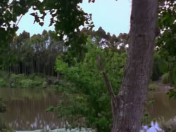 extant_XenaWarriorPrincess_1x12-BewareGreeksBearingGifts_0179