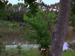 extant_XenaWarriorPrincess_1x12-BewareGreeksBearingGifts_0180