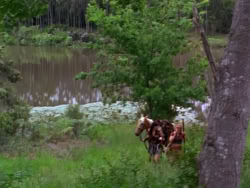 extant_XenaWarriorPrincess_1x12-BewareGreeksBearingGifts_0182