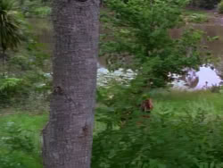extant_XenaWarriorPrincess_1x12-BewareGreeksBearingGifts_0187