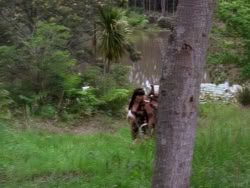extant_XenaWarriorPrincess_1x12-BewareGreeksBearingGifts_0198