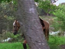 extant_XenaWarriorPrincess_1x12-BewareGreeksBearingGifts_0216