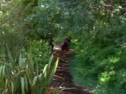 extant_XenaWarriorPrincess_1x12-BewareGreeksBearingGifts_0243