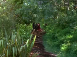 extant_XenaWarriorPrincess_1x12-BewareGreeksBearingGifts_0245