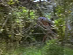 extant_XenaWarriorPrincess_1x12-BewareGreeksBearingGifts_0251
