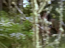extant_XenaWarriorPrincess_1x12-BewareGreeksBearingGifts_0252
