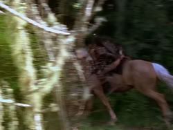extant_XenaWarriorPrincess_1x12-BewareGreeksBearingGifts_0254