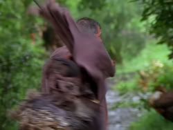 extant_XenaWarriorPrincess_1x12-BewareGreeksBearingGifts_0255