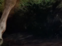 extant_XenaWarriorPrincess_1x12-BewareGreeksBearingGifts_0270