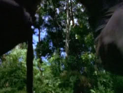 extant_XenaWarriorPrincess_1x12-BewareGreeksBearingGifts_0275