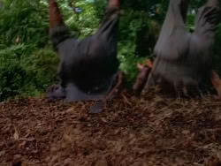 extant_XenaWarriorPrincess_1x12-BewareGreeksBearingGifts_0276