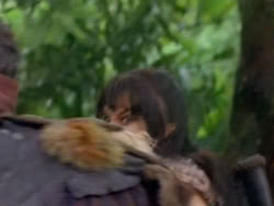 extant_XenaWarriorPrincess_1x12-BewareGreeksBearingGifts_0284