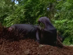 extant_XenaWarriorPrincess_1x12-BewareGreeksBearingGifts_0300