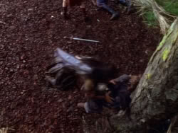 extant_XenaWarriorPrincess_1x12-BewareGreeksBearingGifts_0311