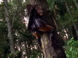 extant_XenaWarriorPrincess_1x12-BewareGreeksBearingGifts_0313