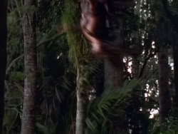 extant_XenaWarriorPrincess_1x12-BewareGreeksBearingGifts_0316