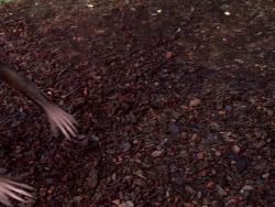 extant_XenaWarriorPrincess_1x12-BewareGreeksBearingGifts_0323