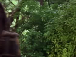extant_XenaWarriorPrincess_1x12-BewareGreeksBearingGifts_0333