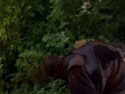 extant_XenaWarriorPrincess_1x12-BewareGreeksBearingGifts_0343