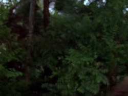 extant_XenaWarriorPrincess_1x12-BewareGreeksBearingGifts_0356