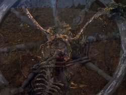 extant_XenaWarriorPrincess_1x12-BewareGreeksBearingGifts_0459